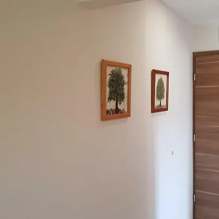 公寓 Tuenderlak Vendeghaz